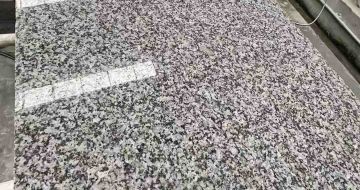 阳泉 芙蓉白光面