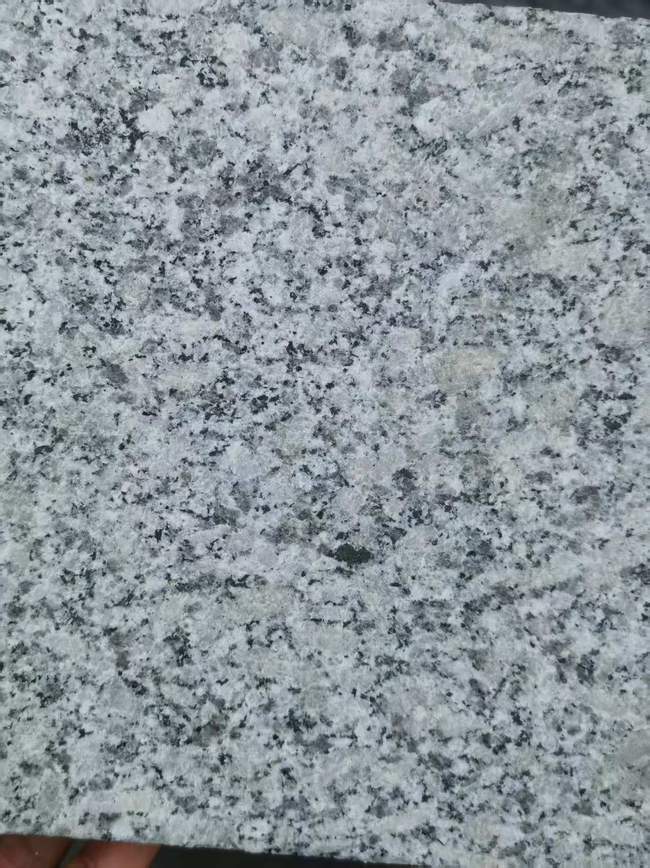 阳泉 芙蓉白火烧面
