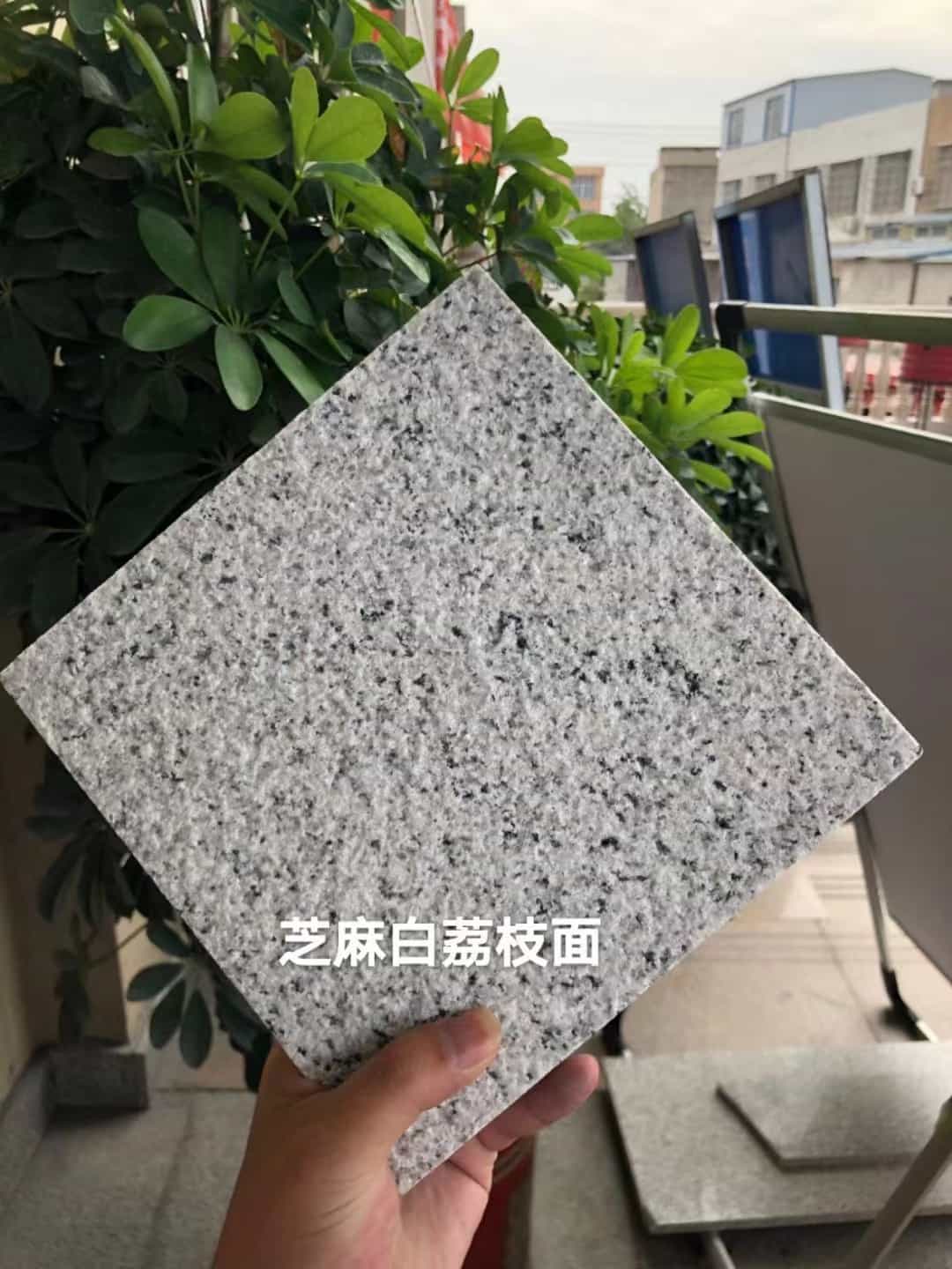 阳泉 芝麻白荔枝面干挂