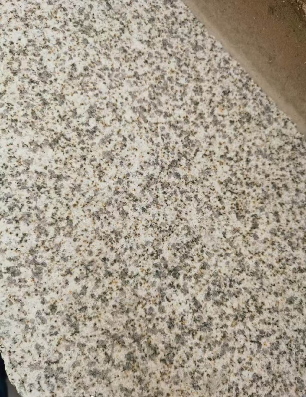 阳泉 黄金麻中黄光面